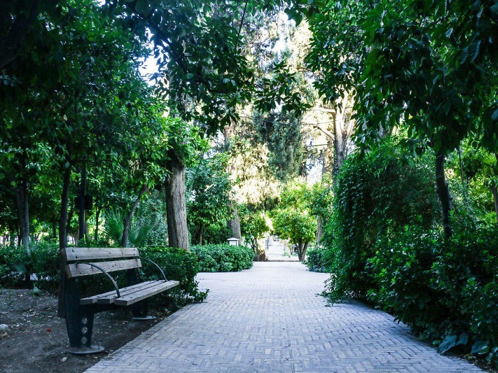 درخت های محوطه باغ نظر شیراز